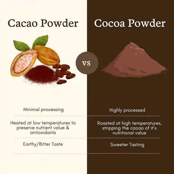 Cacao powder vs cocoa powder-illustration image