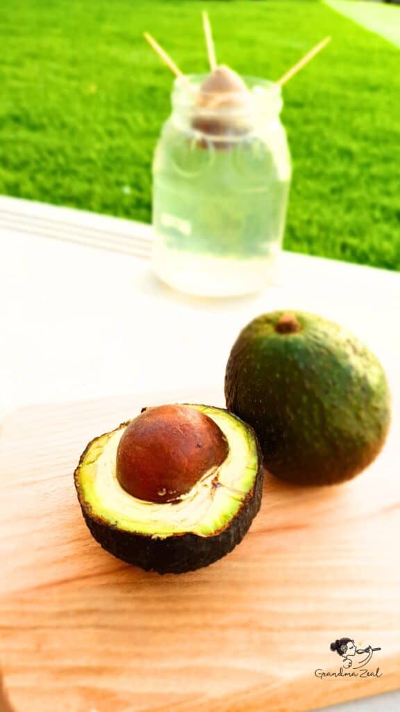 Halved avocado with pit on wooden board; in background, avocado pit suspended by toothpicks over jar of water for propagation.