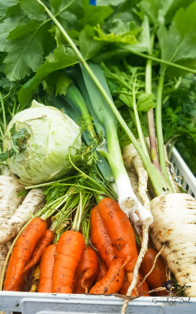 WHAT IS DIETARY FIBRE GOOD FOR? 6 HEALTHY BENEFITS TO KNOW Assorted root vegetables rich in natural fibre, including carrots, parsnips, and beetroot