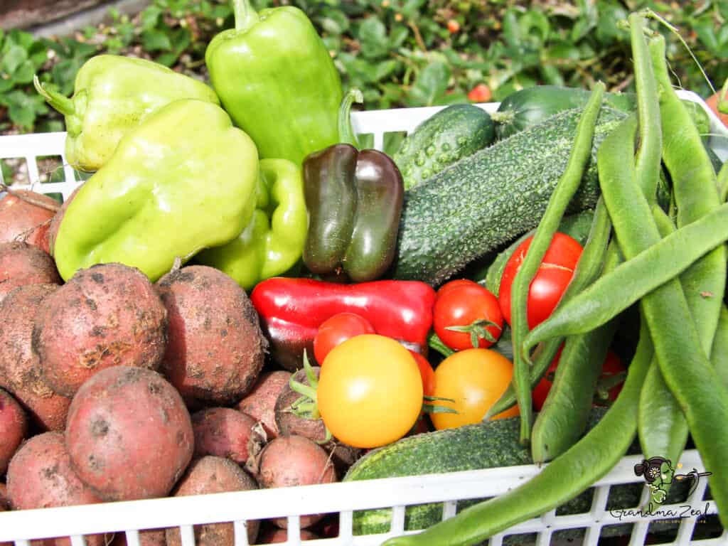 WHAT IS DIETARY FIBRE GOOD FOR? 6 HEALTHY BENEFITS TO KNOW Fresh vegetables including peppers, tomatoes, cucumbers, and potatoes – all good sources of natural fibre