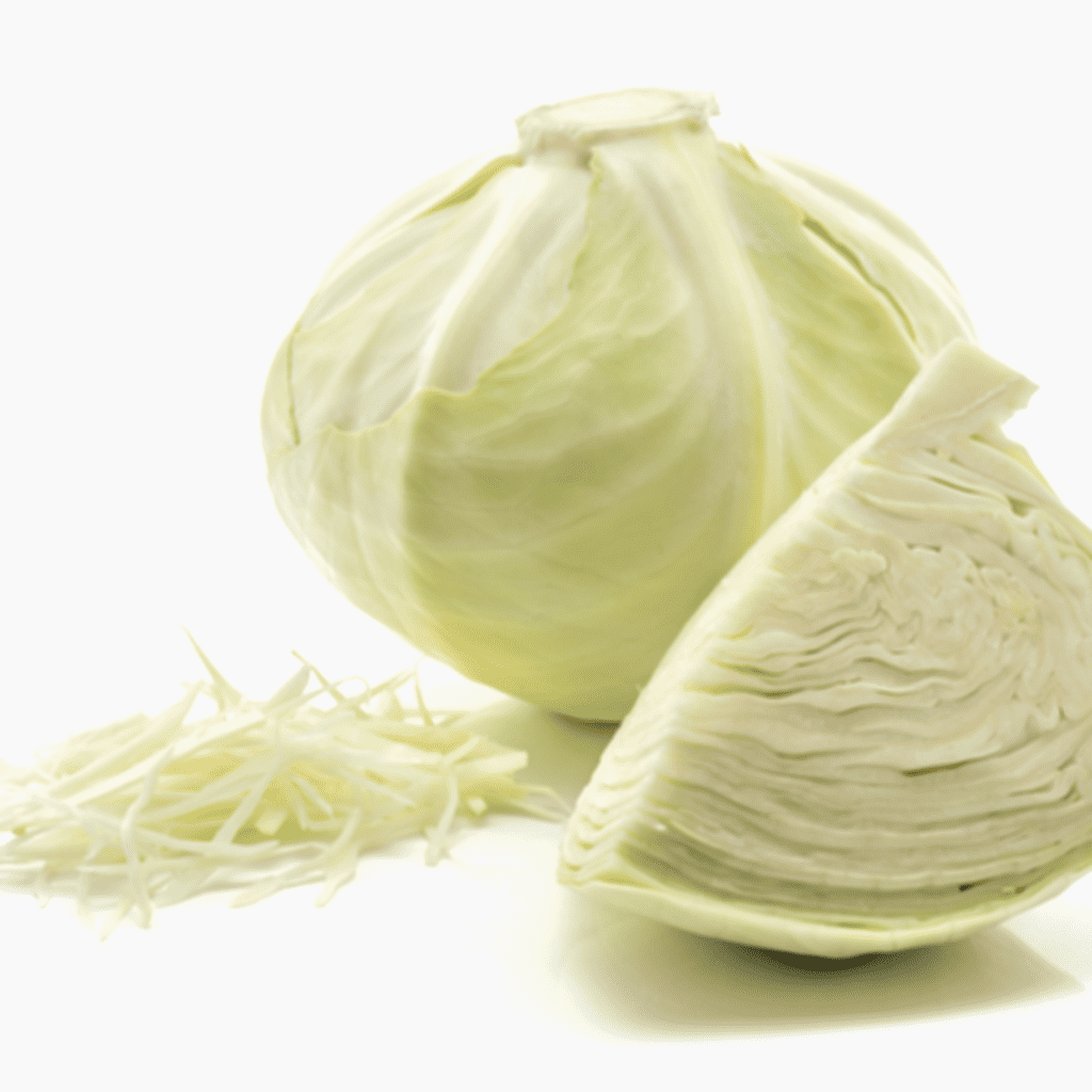 Illustration of a whole white cabbage, round and pale green in colour.