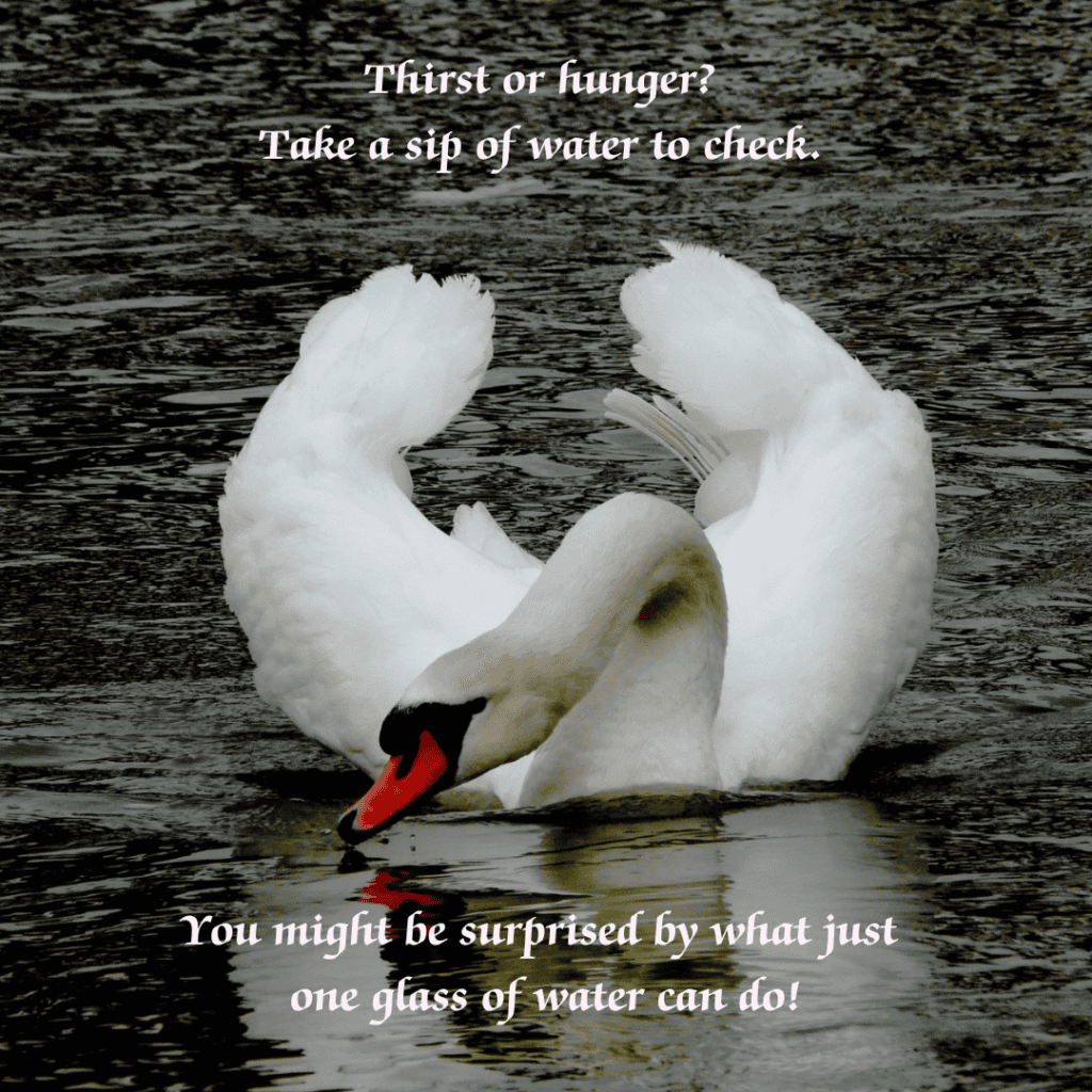 7 AMAZING HEALTH BENEFITS OF DRINKING WATER Swan gliding on calm water with an inspirational quote written on the image