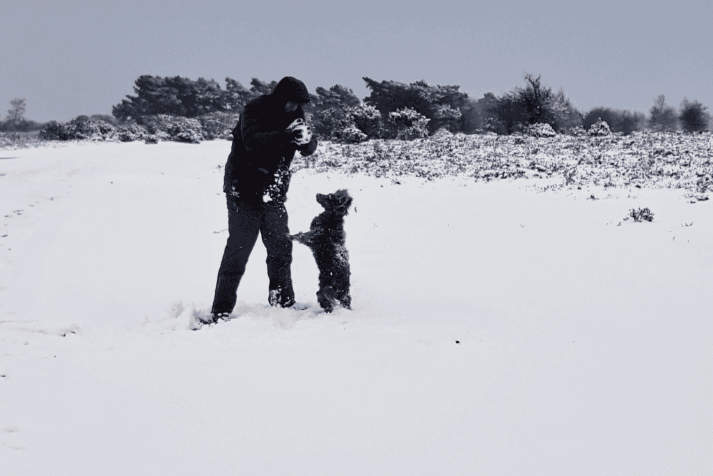 middle aged man playing with his dog in the snow, showing midlife vitality and joy.