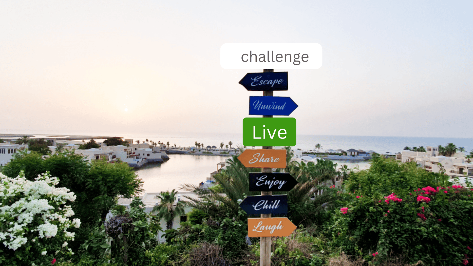 midlife change journey