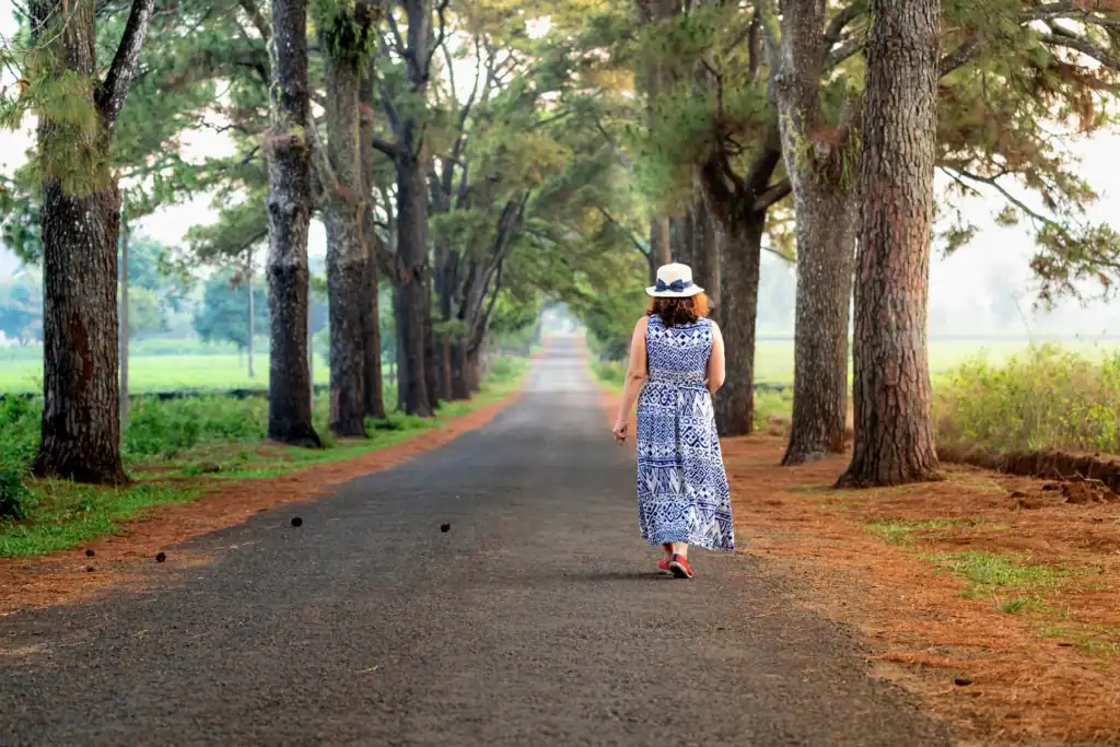 A woman walking alone down a peaceful tree-lined path, symbolising self-trust, new beginnings, and the journey to reset your mind and energy.